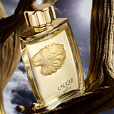 Lalique pour homme lion maroc