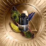 <strong> AZZARO <br> THE MOST WANTED </strong><br> Eau de Toilette Intense