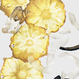 <strong> CALVIN KLEIN <br> CK SILKY COCONUT </strong><br> Brume parfumée corps & cheveux