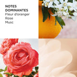 <strong> ELIZABETH ARDEN <br> SUNFLOWERS </strong><br> Eau de Toilette