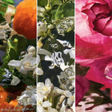 <strong> GUERLAIN <br> AQUA ALLEGORIA PAMPLELUNE </strong><br> Eau de Toilette