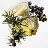 <strong> HERMÈS <br> TERRE D'HERMÈS EAU GIVRÉE </strong><br> Eau de Parfum