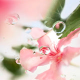 <strong> LANCÔME <br> ÔVER THE TOP </strong><br> Eau de Toilette