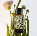 <strong> MANCERA <br> WILD PYTHON </strong><br> Eau de Parfum